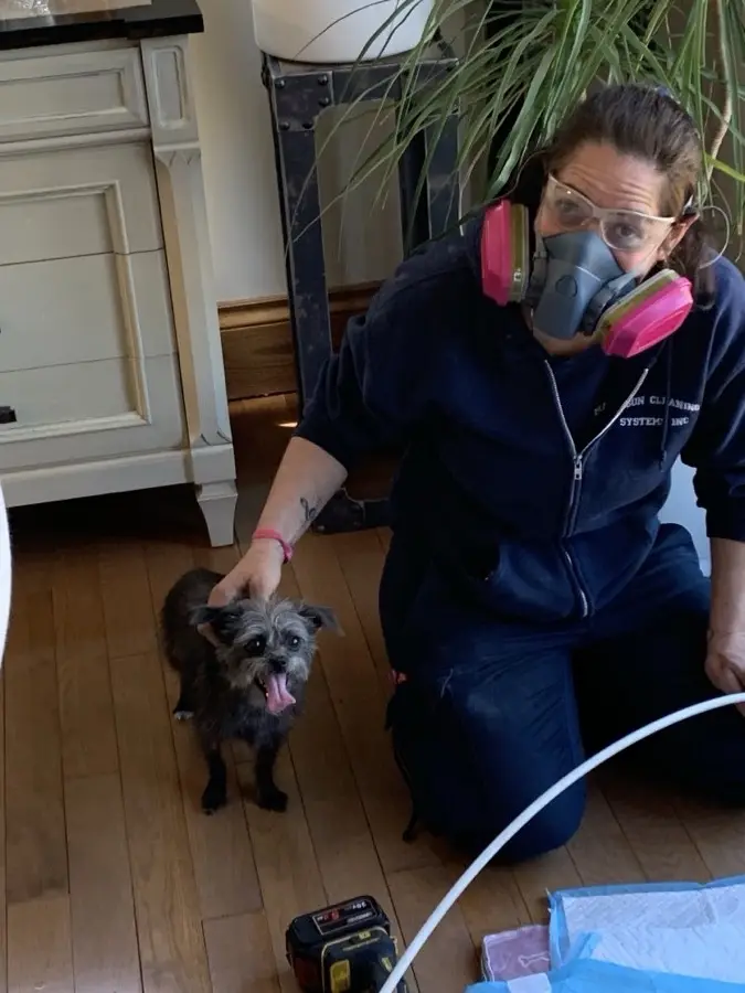 Duct cleaning technician in a respirator working a vent line inside a North Bay home